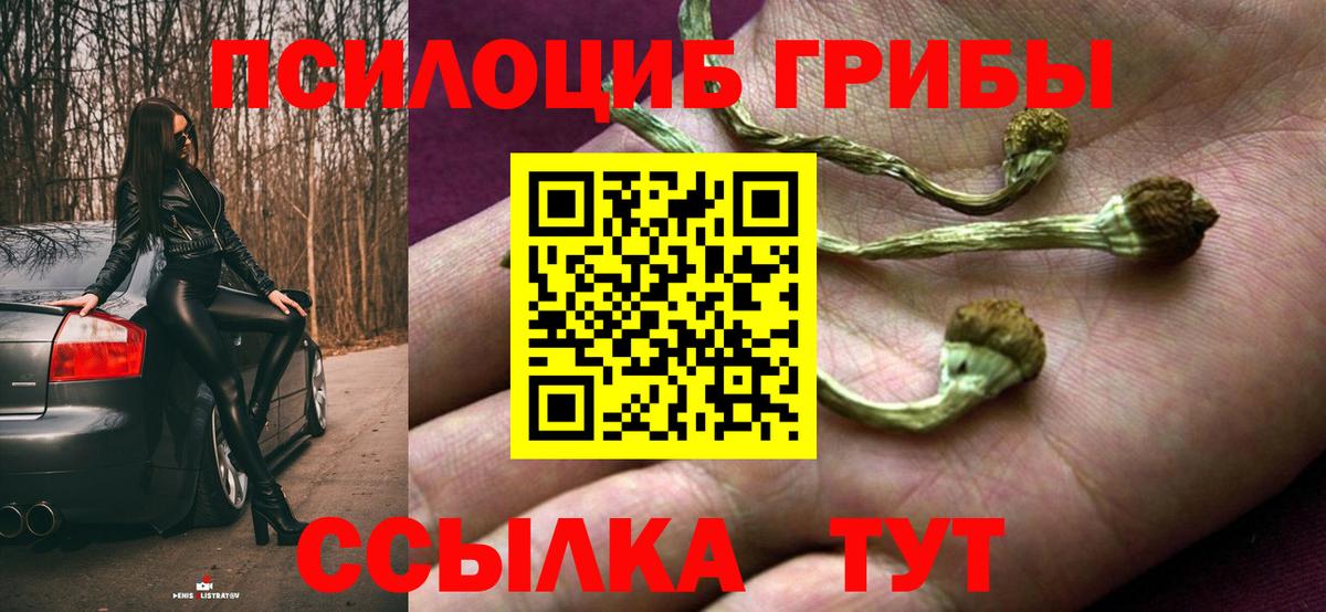 Гатчина  Галлюциногенные грибы MAGIC MUSHROOMS  Вход с VPN  Галлюциногенные грибы ЛСД 