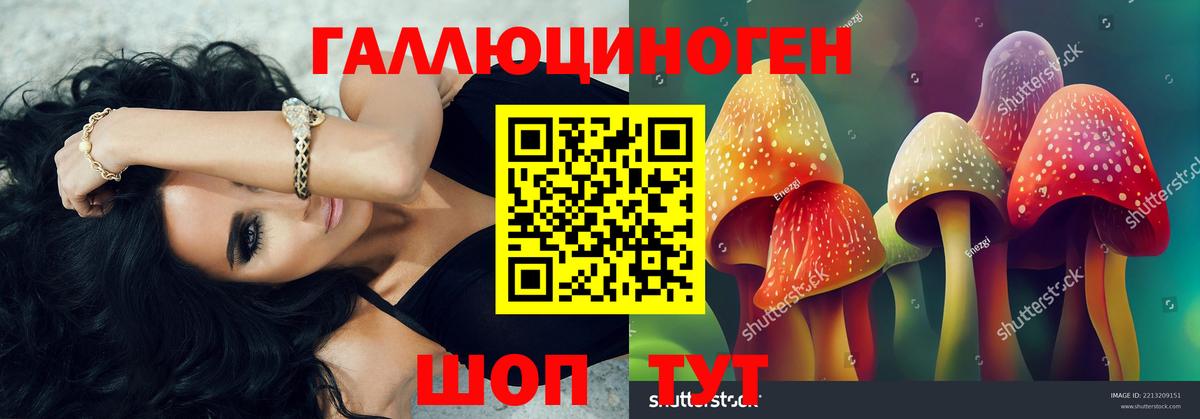 Галлюциногенные грибы Magic Shrooms Гатчина