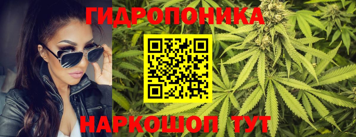 Гатчина  Канабис AK-47  Вход с VPN  МАРИХУАНА семена 